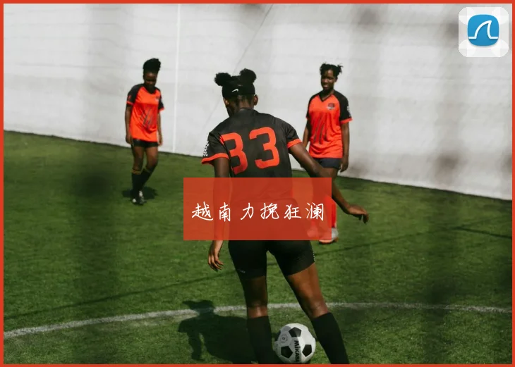 越南力挽狂澜
