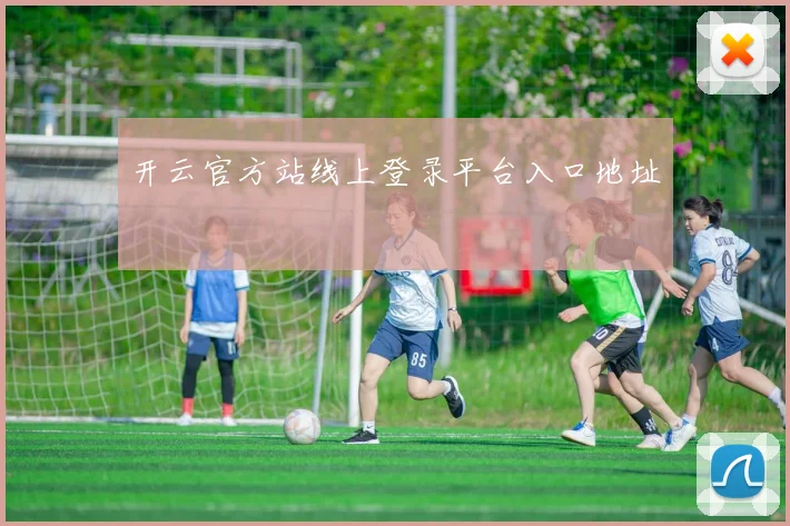 开云官方站线上登录平台入口地址