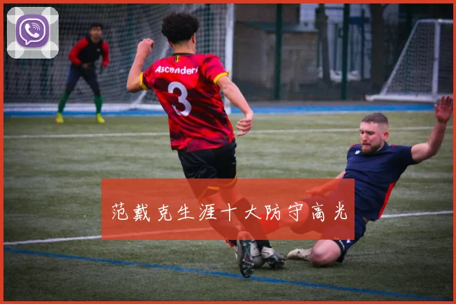 范戴克生涯十大防守高光