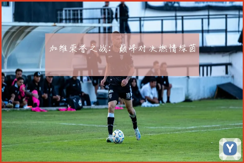 加维荣誉之战：巅峰对决燃情绿茵
