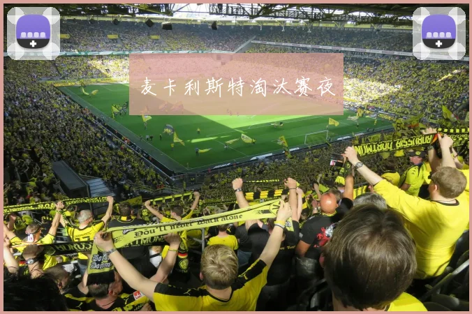 麦卡利斯特淘汰赛夜