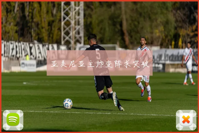 亚美尼亚主帅变阵求突破