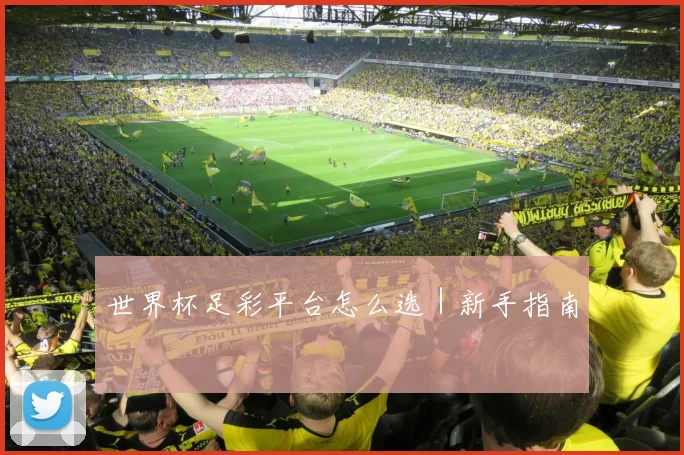 世界杯足彩平台怎么选｜新手指南