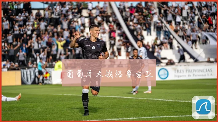 葡萄牙大战格鲁吉亚