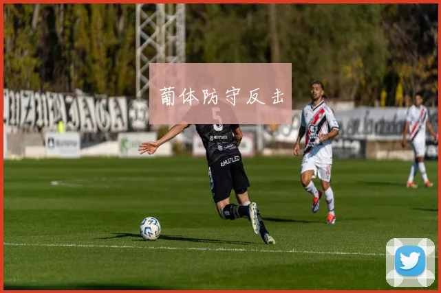 葡体防守反击