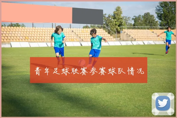 青年足球联赛参赛球队情况