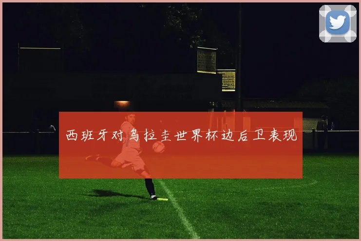 西班牙对乌拉圭世界杯边后卫表现