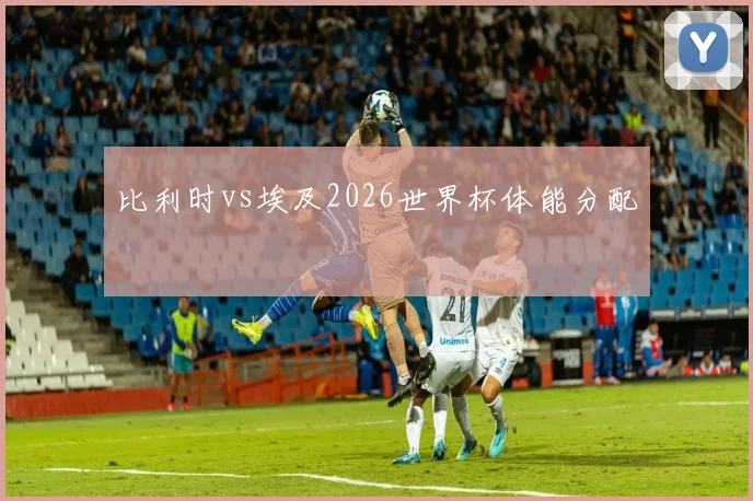 比利时vs埃及2026世界杯体能分配