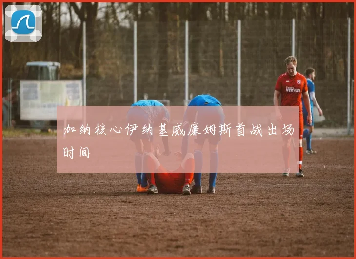 加纳核心伊纳基威廉姆斯首战出场时间