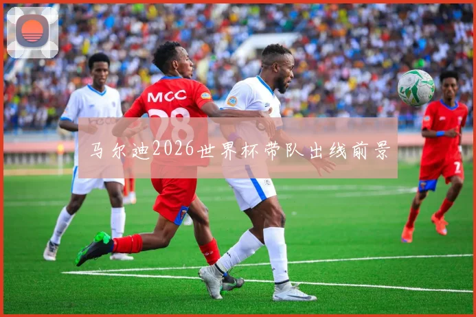 马尔迪2026世界杯带队出线前景