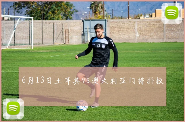 6月13日土耳其vs澳大利亚门将扑救