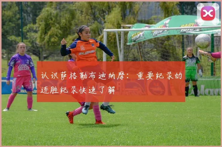 认识萨格勒布迪纳摩：重要纪录的连胜纪录快速了解